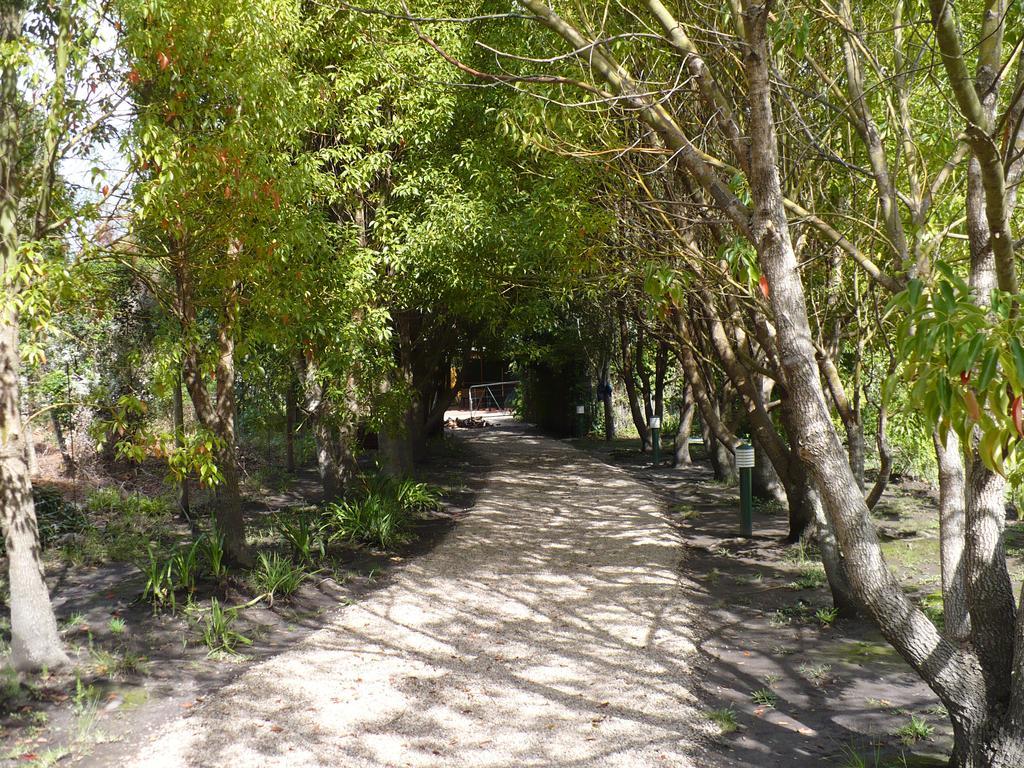 סטורמסריבייר Tsitsikhaya Lodge מראה חיצוני תמונה