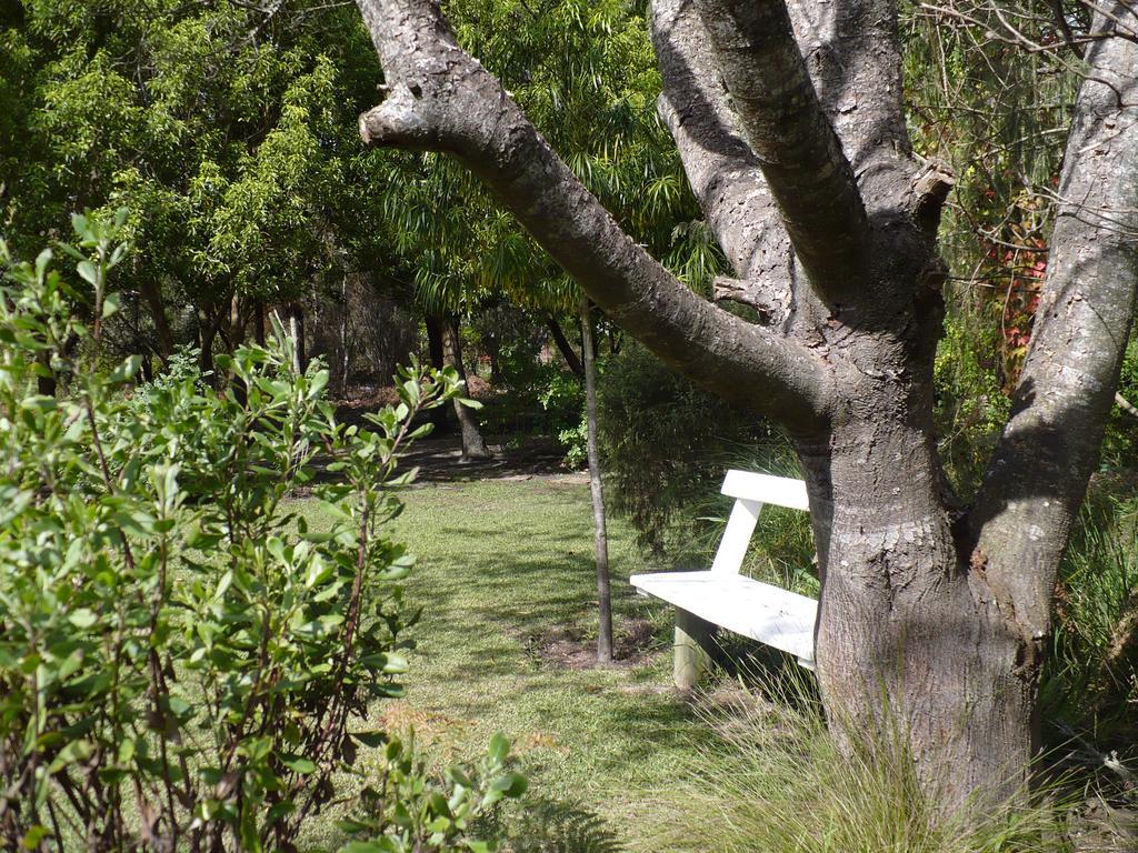 סטורמסריבייר Tsitsikhaya Lodge מראה חיצוני תמונה
