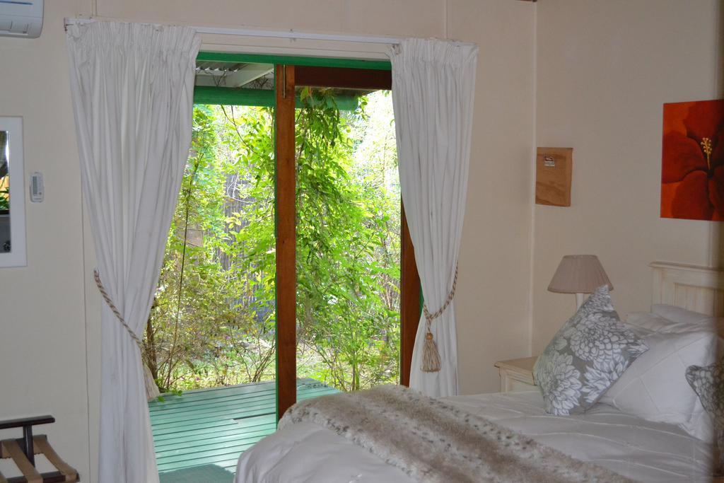 סטורמסריבייר Tsitsikhaya Lodge מראה חיצוני תמונה