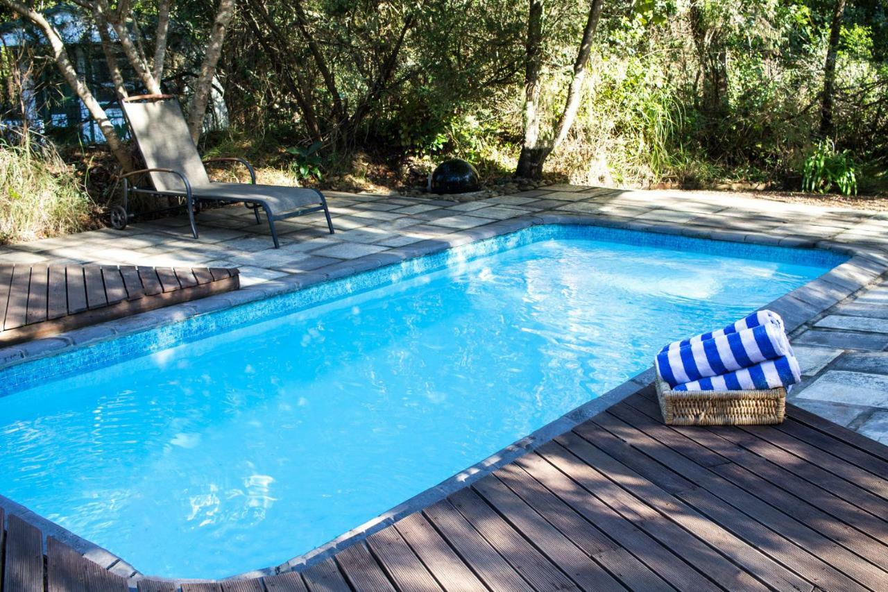 סטורמסריבייר Tsitsikhaya Lodge מראה חיצוני תמונה