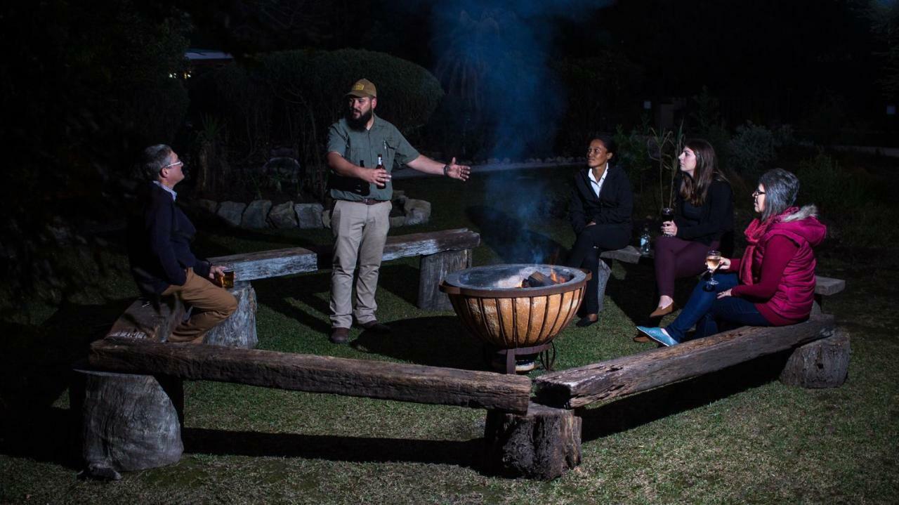 סטורמסריבייר Tsitsikhaya Lodge מראה חיצוני תמונה